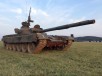 Budaörs Military Park and T-72M1